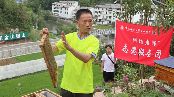 蜂农展示蜂箱内部结构。重庆师范大学供图