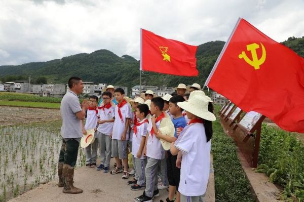 走進實踐基地開展勞動實踐活動。巫溪縣珠海實驗小學校供圖