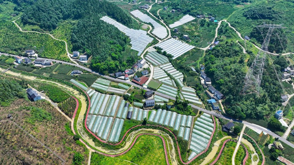 蜜李花溪农民工返乡创业园。杜浩摄