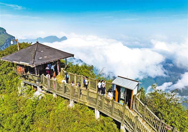 8月11日，南川區金佛山景區，雲霧繞著喀斯特桌山地貌翻滾、涌動，形成美麗的雲海景觀，吸引不少游客打卡拍照。通訊員 胡波 攝/視覺重慶