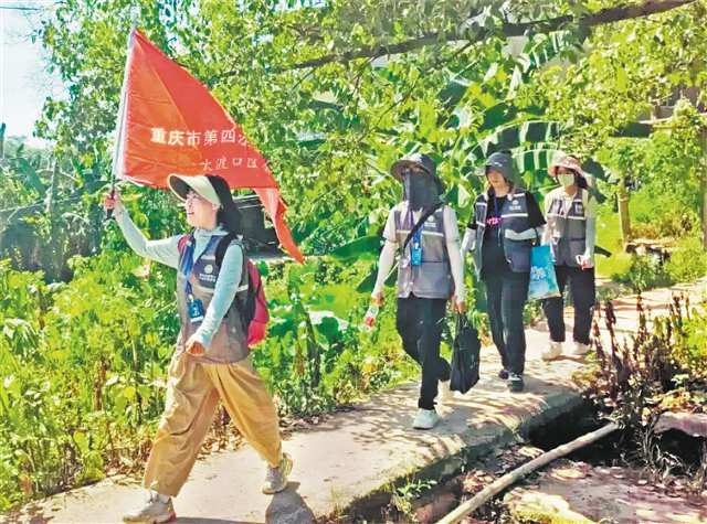 大渡口區普查隊前往調查現場。（受訪者供圖）