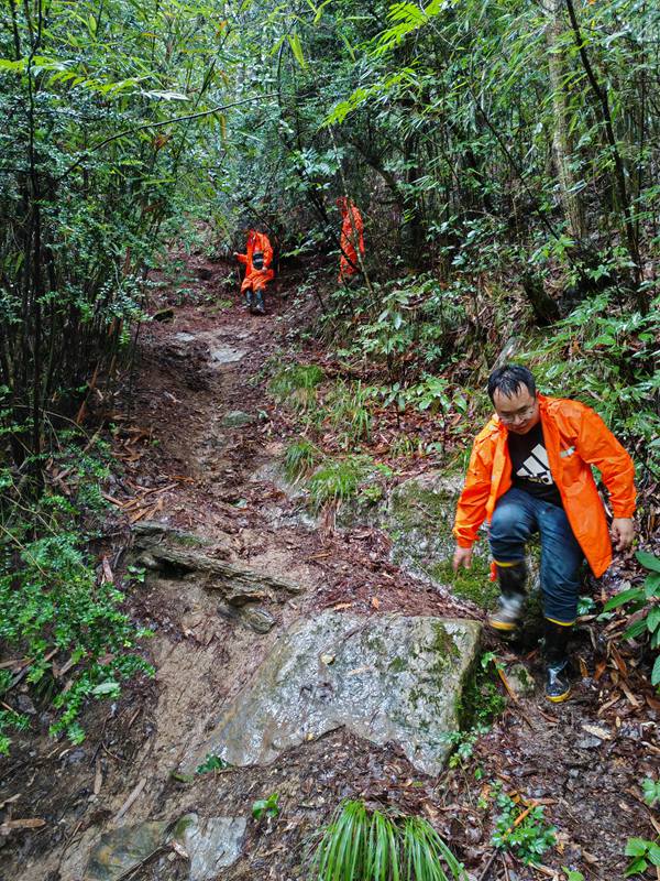 《城口县厚坪乡核桃坝滑坡雨中核查路上》。7月14日，川东南工程勘察设计院有限公司驻城口县厚坪乡地质工程师王森林（前）在核桃坝滑坡开展巡查排查工作。邓冲摄