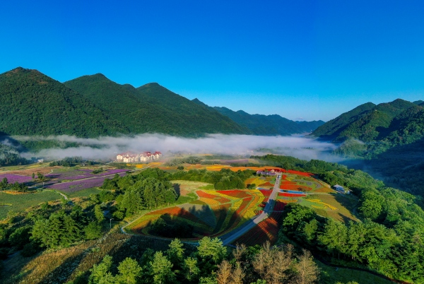 红池坝云中花海。巫溪县委宣传部供图