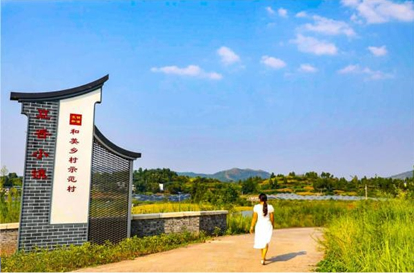水口社区乡村新风貌。潼南区委宣传部供图