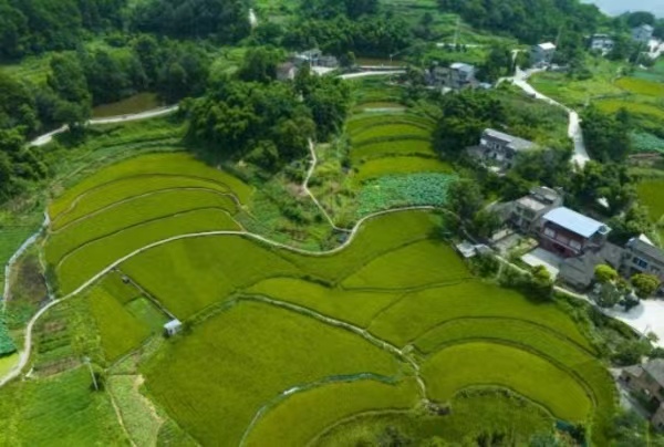 乡村美景。刘纪湄摄