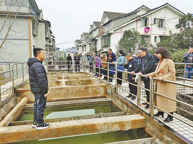 巴南区人大代表调研水厂情况。（受访单位供图）