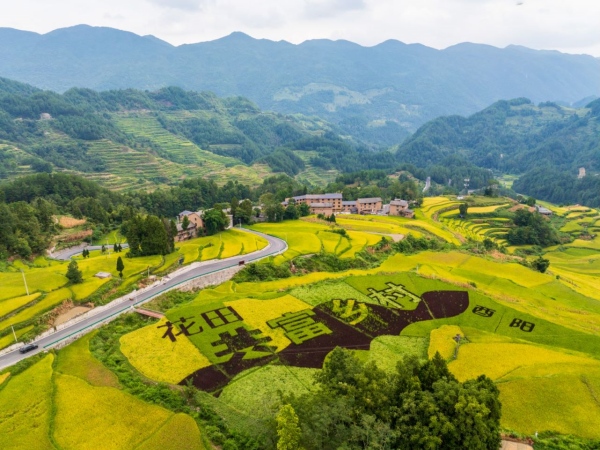 酉阳花田乡何家岩村。酉阳县委宣传部供图