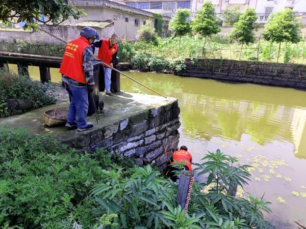 河道清淤、垃圾清除现场。蔺市街道供图