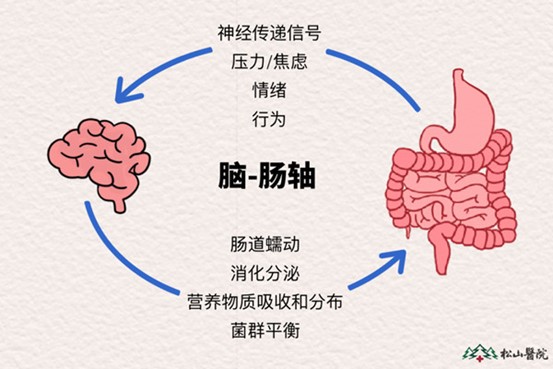 示意圖。重慶鬆山醫院供圖