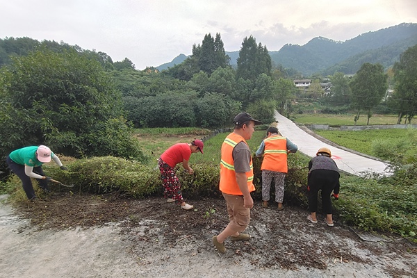 对重点区域的杂草、垃圾、杂物等进行清理整治。包万平摄