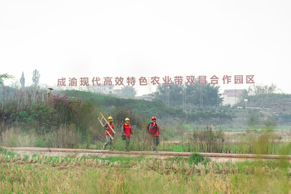 服務隊在雙昌園開展電力巡檢。國網重慶永川供電公司供圖