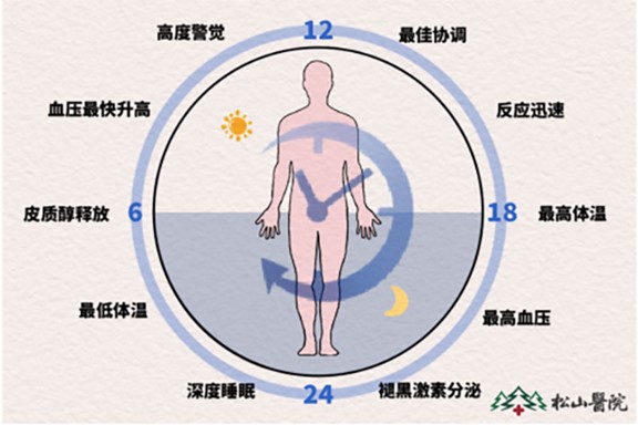 24小睡眠生理周期。重慶鬆山醫院供圖