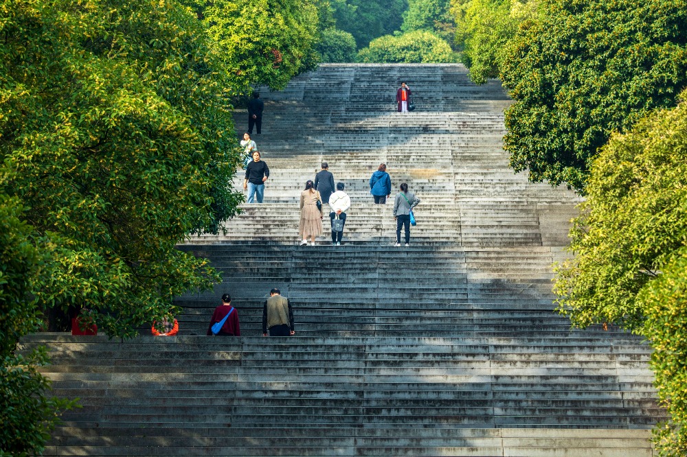 10月15日，涪陵区，市民来到白鹤森林公园健身、赏桂花。通讯员 张志学 摄