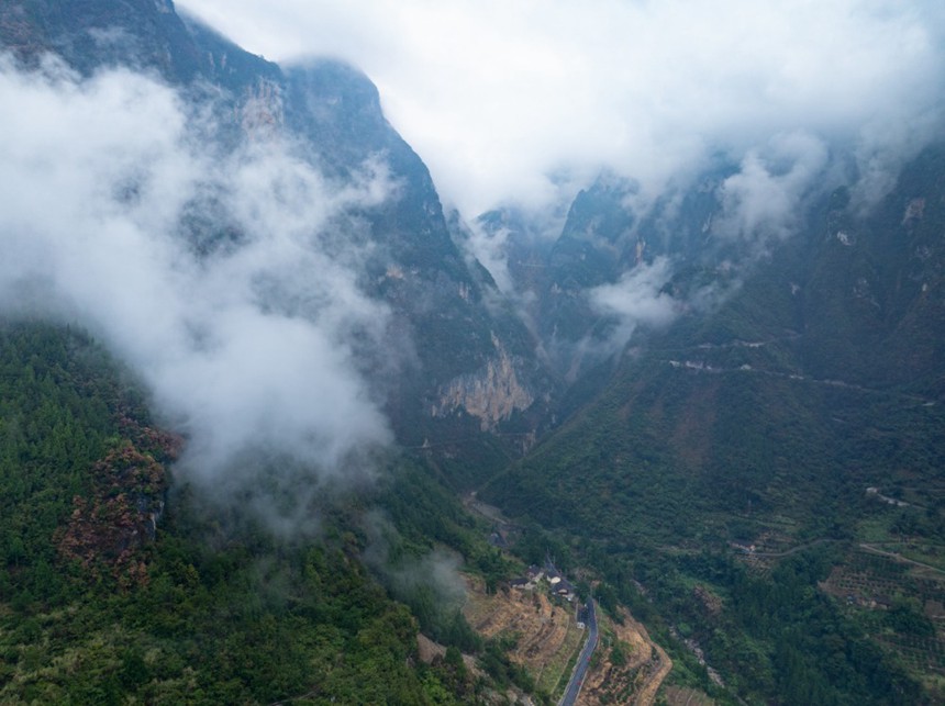 10月初的巫山县下庄村天路，在秋日云雨中美不胜收。记者 张春晓 摄