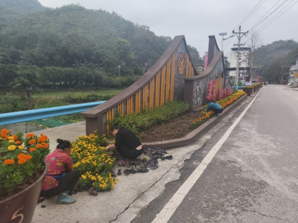 開展綠化補栽、鮮花布置工作。姜家鎮供圖