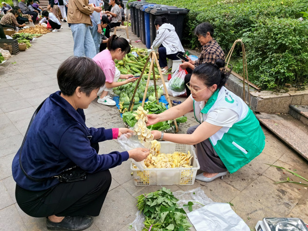 中国人寿寿险重庆巫溪县支公司派驻巫溪新田村第一书记崔廷俊为村里农产品助销。中国人寿寿险重庆市分公司供图