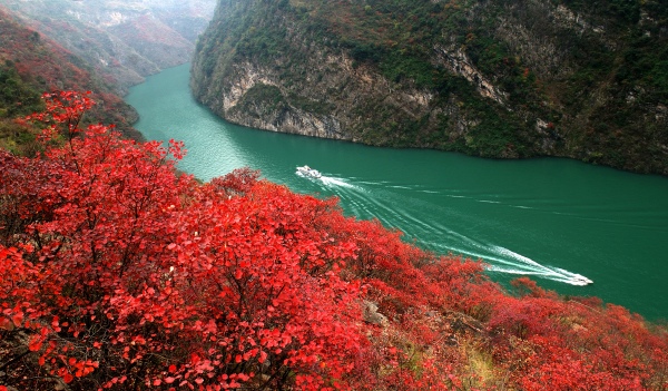 巫山小三峽紅葉。巫山縣委宣傳部供圖