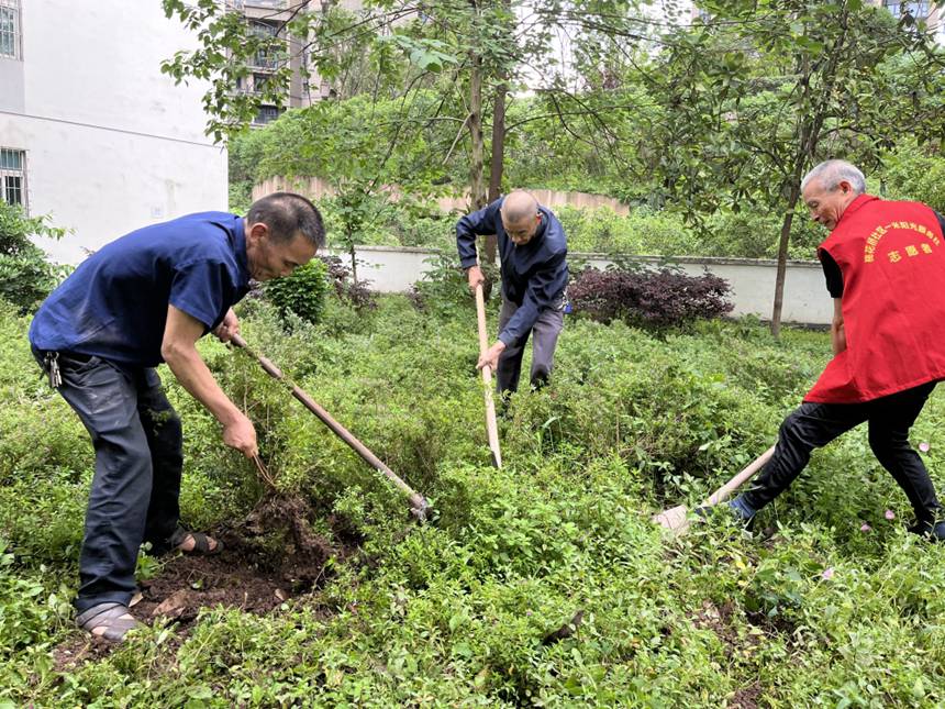 “栋情服务”志愿者清理小区杂草。 南岸区长生桥镇供图