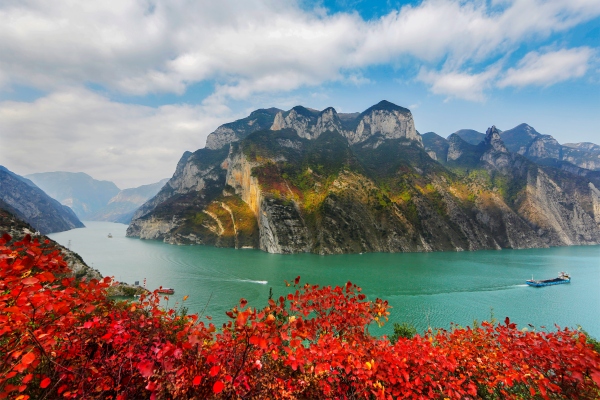 巫山紅葉美景怡人。巫山縣委宣傳部供圖