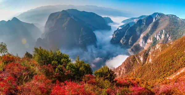 巫山红叶，风景如画。巫山县委宣传部供图