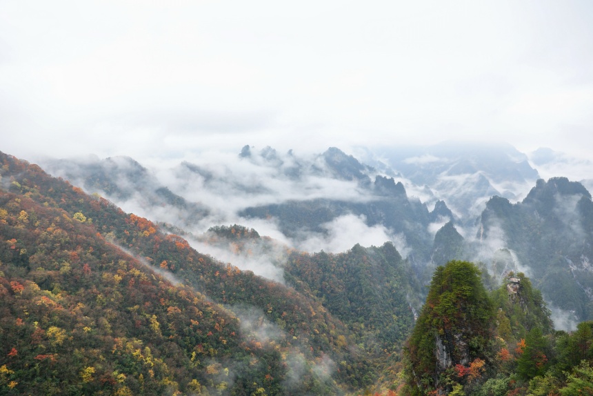 亢家寨景区彩林与山间云海。任峰摄