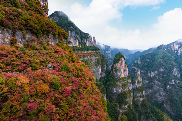 巫山神女峰景区。主办方供图