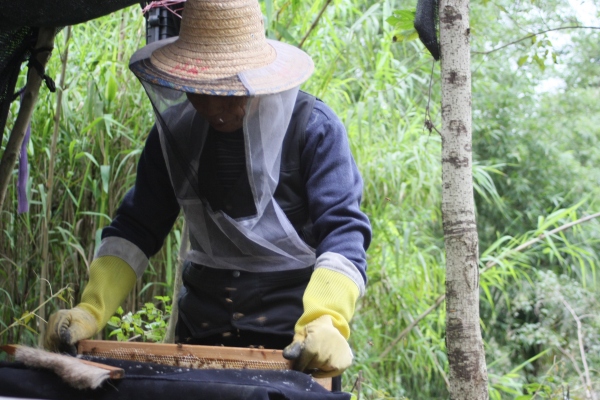 活动成员实地观摩当地村民酿造蜂蜜。重庆理工大学供图