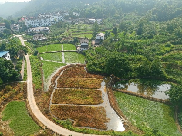 美丽乡风 新风景。江北区委宣传部供图