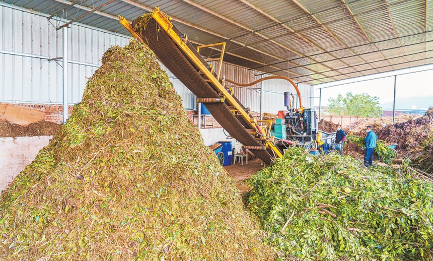 十一月二十五日，双桥经开区龙建路的一处辅料加工厂，废弃物经过综合破碎机处理后，将被制成有机肥料。记者 李雨恒 摄视觉重庆