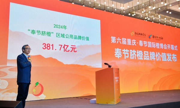 2024年奉節臍橙的區域公用品牌價值為381.7億元。奉節縣委宣傳部供圖