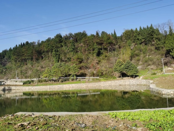 治理后的秦家村水口山坪塘。茨竹鎮供圖