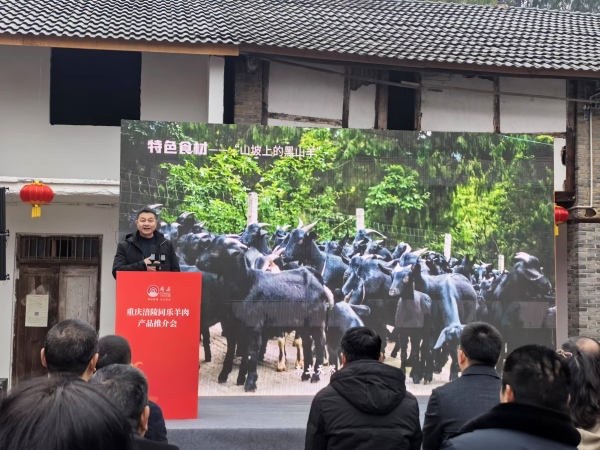 同乐羊肉现场推介。任峰摄