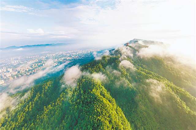 重庆集体林权改革唤醒群山