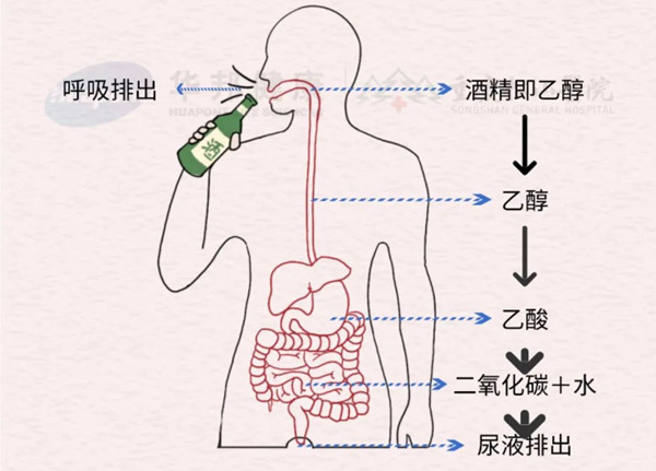 示意图。重庆松山医院供图