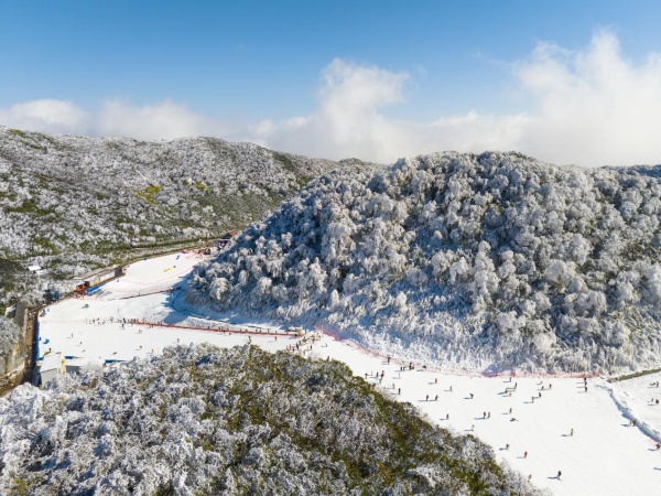 金佛山雪景。金佛山供图