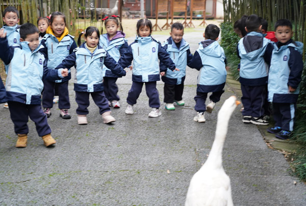 江津區海匯幼兒園以“生命教育”為主題，開展開學第一課，通過扮演繪本角色、“蛋寶寶守護者”、與鵝嬉戲等探索生命奧秘，繪就成長藍圖。海匯幼兒園供圖