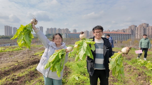 採摘現場。重慶理工大學供圖