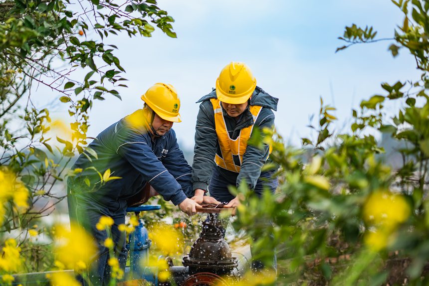 2月25日，在榮昌區清流鎮馬草村血橙種植基地，國網重慶永川供電公司工作人員和果農在一起勞作，了解現階段用電需求，確保果園的噴灌、水肥一體化、凍庫運行等用電設備能夠正常運行。賴小龍攝