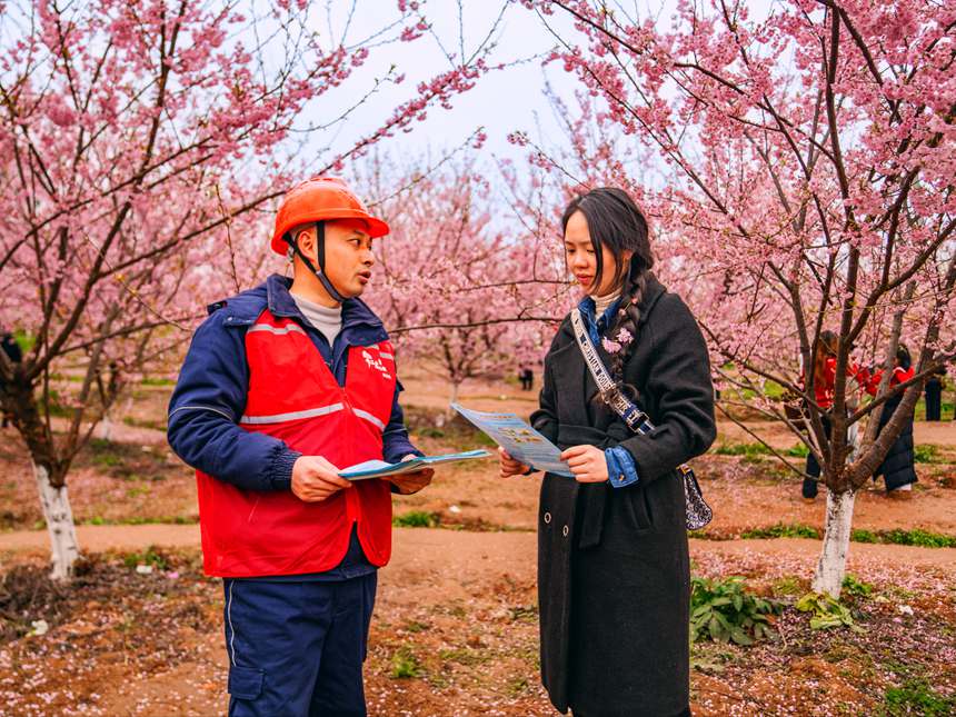 2月25日，在榮昌峰高街道金銀村，國網重慶永川供電公司大力促進“電力+文旅”融合，對櫻花園春灌用電進行全面檢查維護，同時向游客宣講保護電力設施知識。賴小龍攝