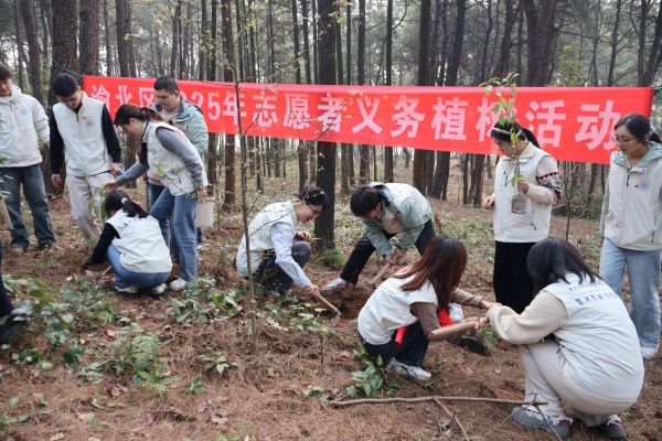 重大師生開展綠植增補栽種活動。重慶大學供圖