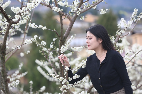 游客在李园观赏李花。卢先庆摄