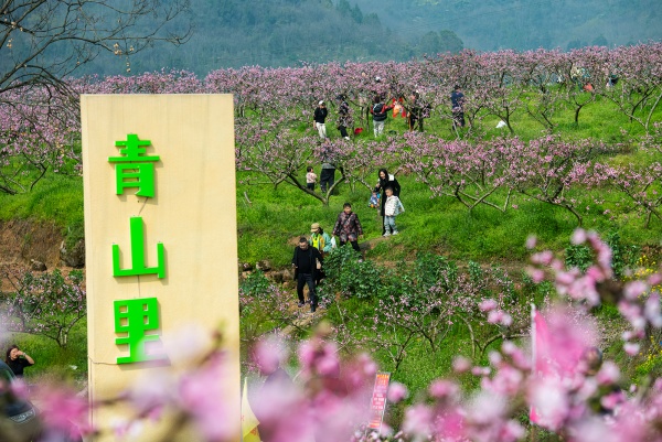 市民在果园里畅游。冉孟军摄