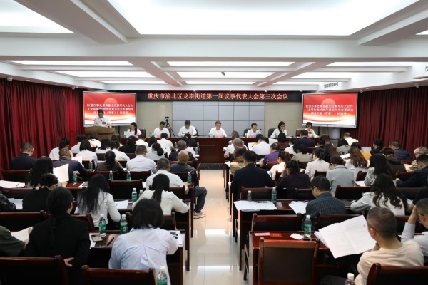 會議現場。龍塔街道供圖