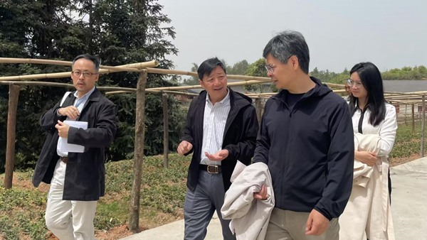 第二期“鄉村訪問學者”工作坊走進巴南