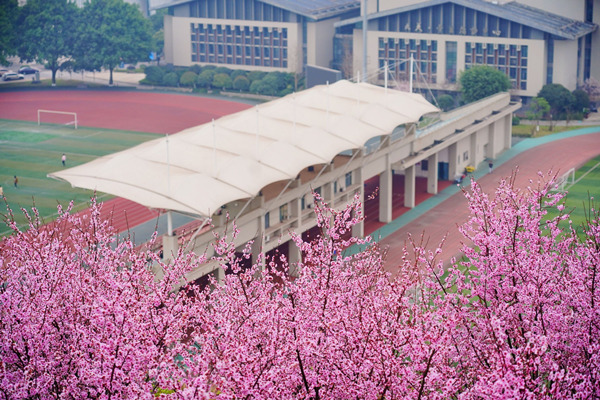 JN江南重庆理工大学执生态之笔 绘绿色发展之路(图6)