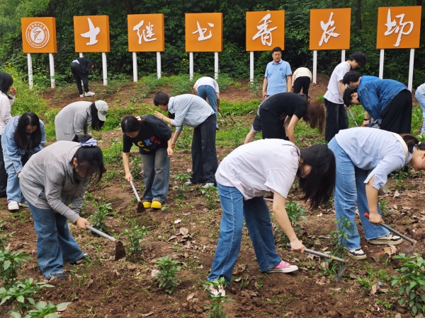 理学院师生在农场劳作。重庆理工大学供图