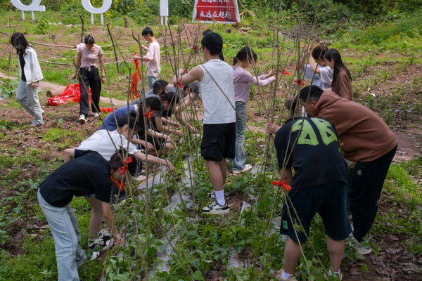 材料科学与工程学院学生在搭建农作物架子。重庆理工大学供图