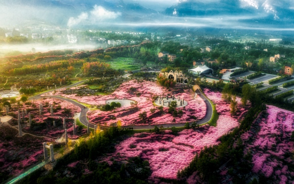 叠石花谷。酉阳县委宣传部供图
