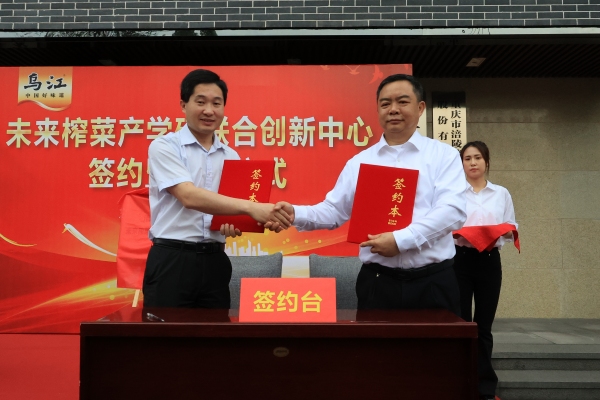 签约仪式现场。任峰摄