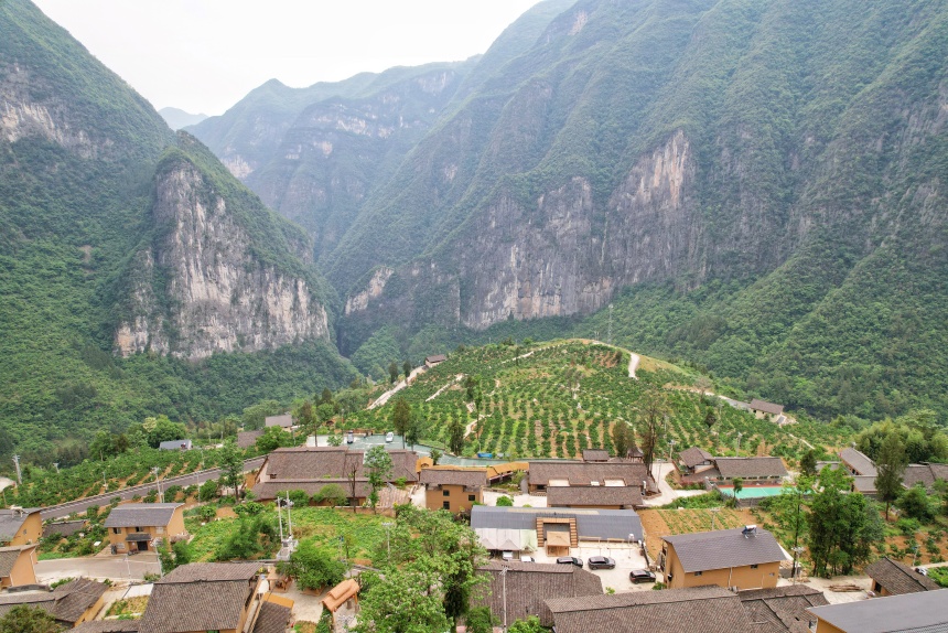 下庄村夏日景色。邹乐摄